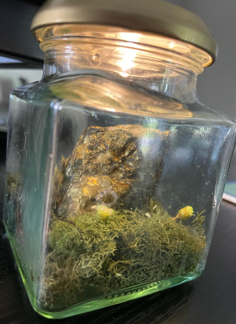 Lit Fairy Jar Example
