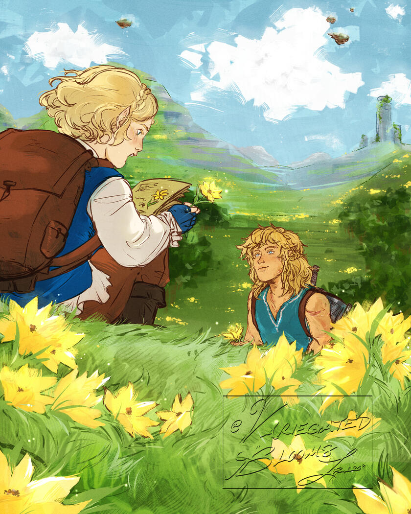 Zelda & Link - BOTW/ TOTK